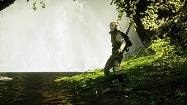 Man forest waterfall stick dog free wallpaper - medium preview image