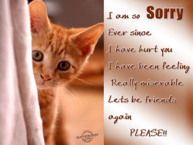 Cat peeking curtain message below free wallpaper - medium preview image