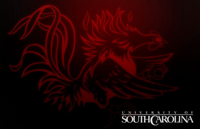 Red black background red bird free wallpaper - medium preview image