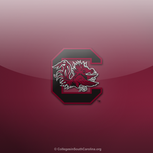 College southcarolina logo red black free wallpaper - medium preview image