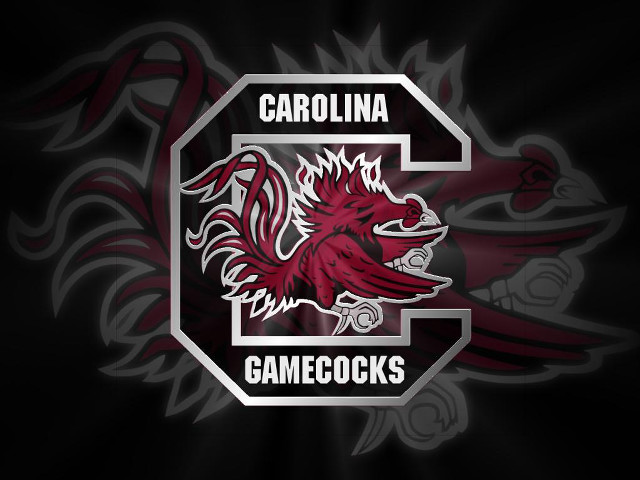 South carolina gamecocks logo black free wallpaper - medium preview image