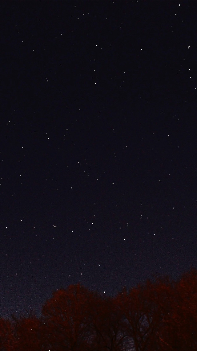 Night sky stars trees building free wallpaper - medium preview image