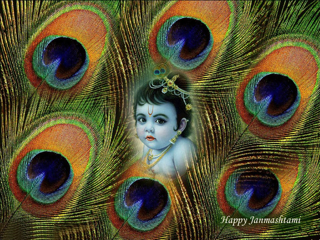 Child peacock feathers happy janmasan free wallpaper - medium preview image