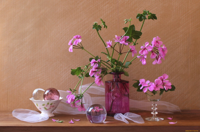 Vase flowers table cloth items free wallpaper - medium preview image