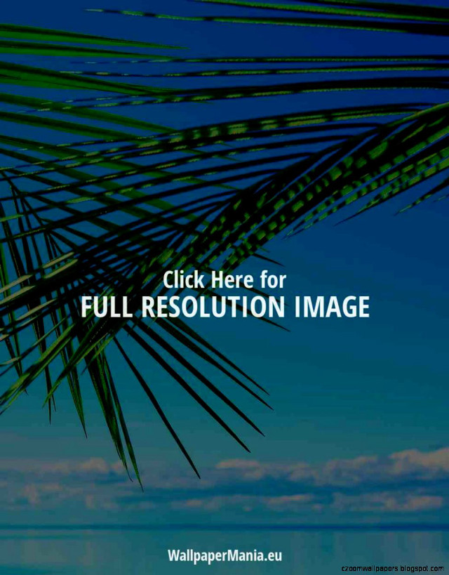 Palm tree with the words free wallpaper - medium preview image