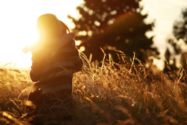 Person standing field sun trees free wallpaper - medium preview image