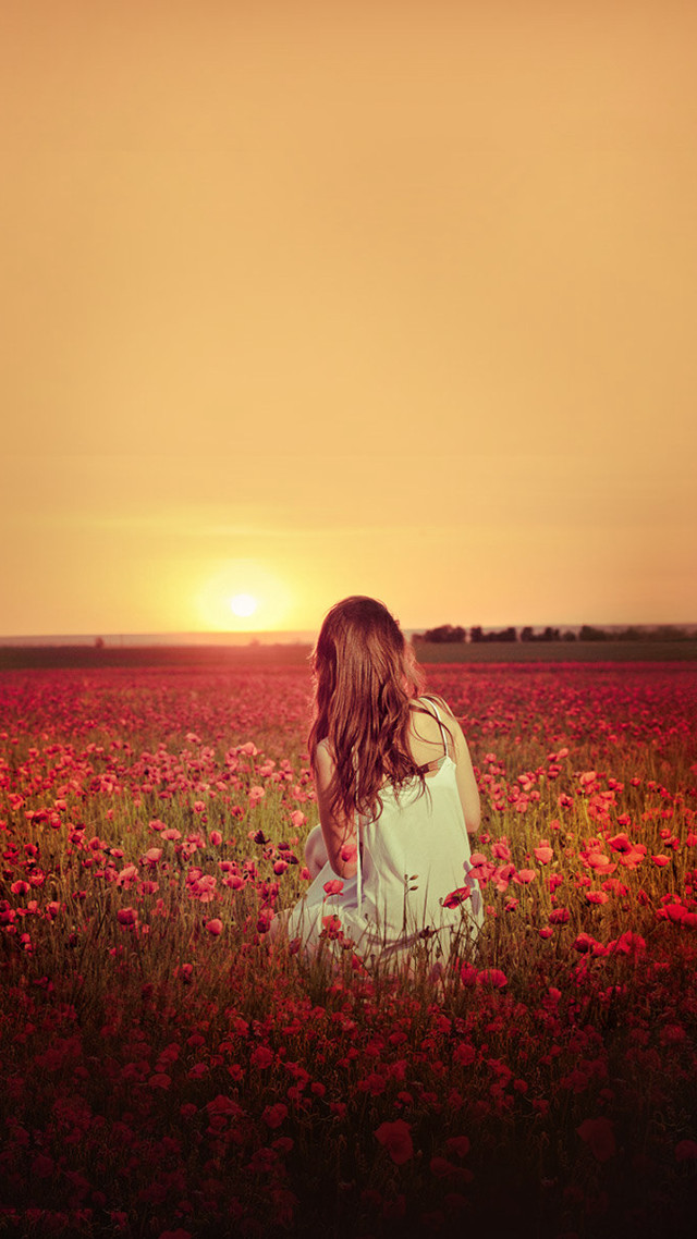 Girl sitting field flowers sunset free wallpaper - medium preview image