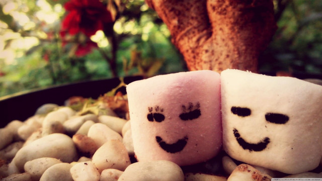 Marshmallows with faces on rocks free wallpaper - medium preview image