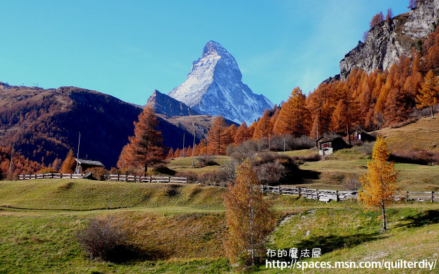 Snowcapped mountain grassy field trees free wallpaper - medium preview image