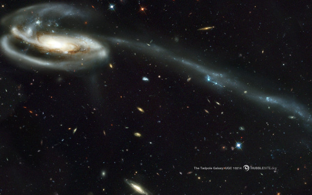 Large spiral objects night sky free wallpaper - medium preview image