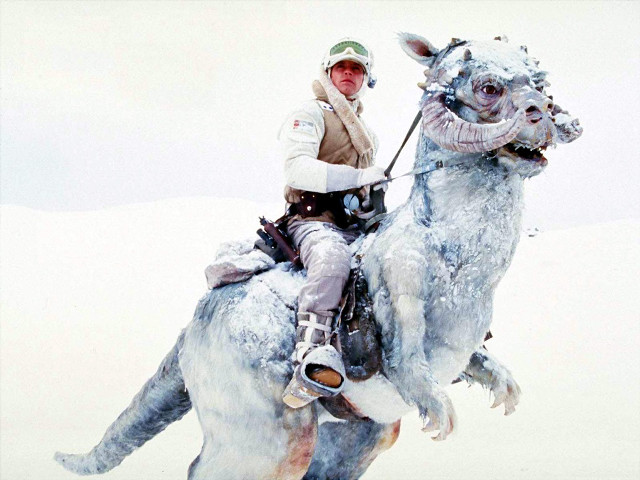 Man horse dog snow harness free wallpaper - medium preview image