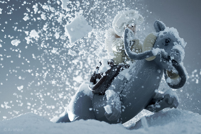 Elephant statue snow hat scarf free wallpaper - medium preview image