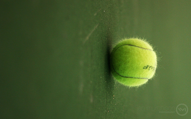 Tennis ball wall green background free wallpaper - medium preview image