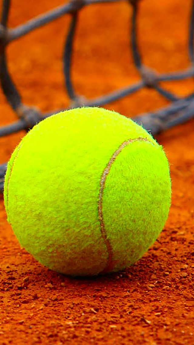 Tennis ball court net background free wallpaper - medium preview image