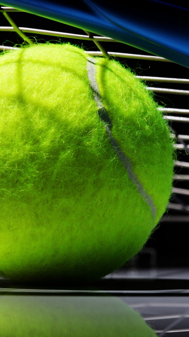 Tennis ball racket forest grass free wallpaper - medium preview image