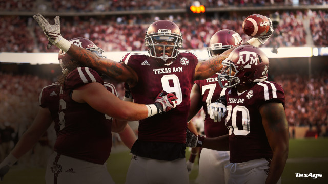 Football players field crowd holding free wallpaper - medium preview image