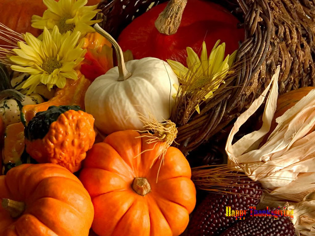 Pumpkins gourds table flowers basket free wallpaper - medium preview image