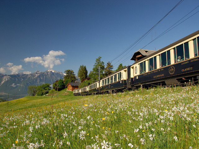 Train traveling lush green countryside free wallpaper - medium preview image
