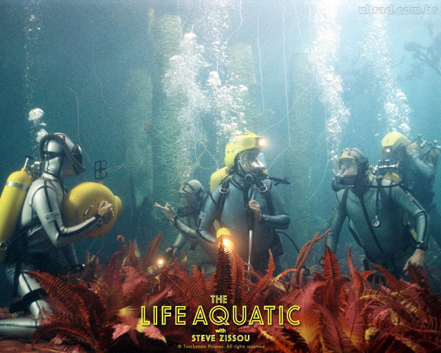 Scubas life aquatic sign plants free wallpaper - medium preview image