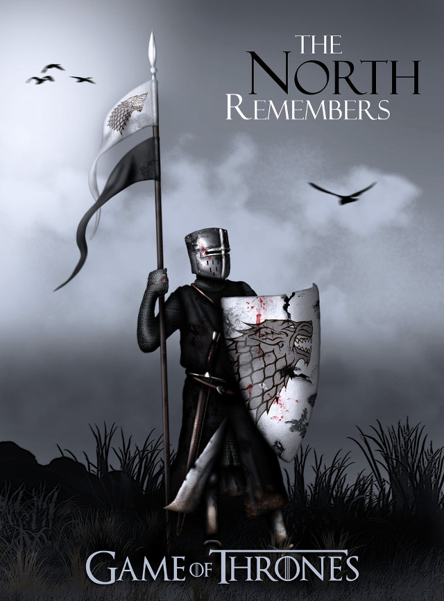 Knight costume flag shield sword free wallpaper - medium preview image