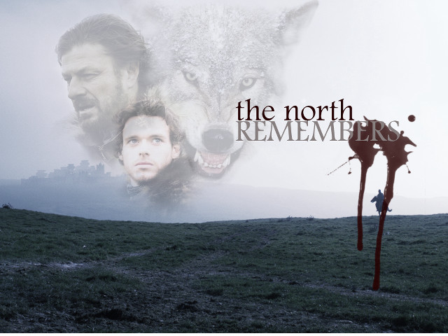 Man wolf field pole wolf free wallpaper - medium preview image
