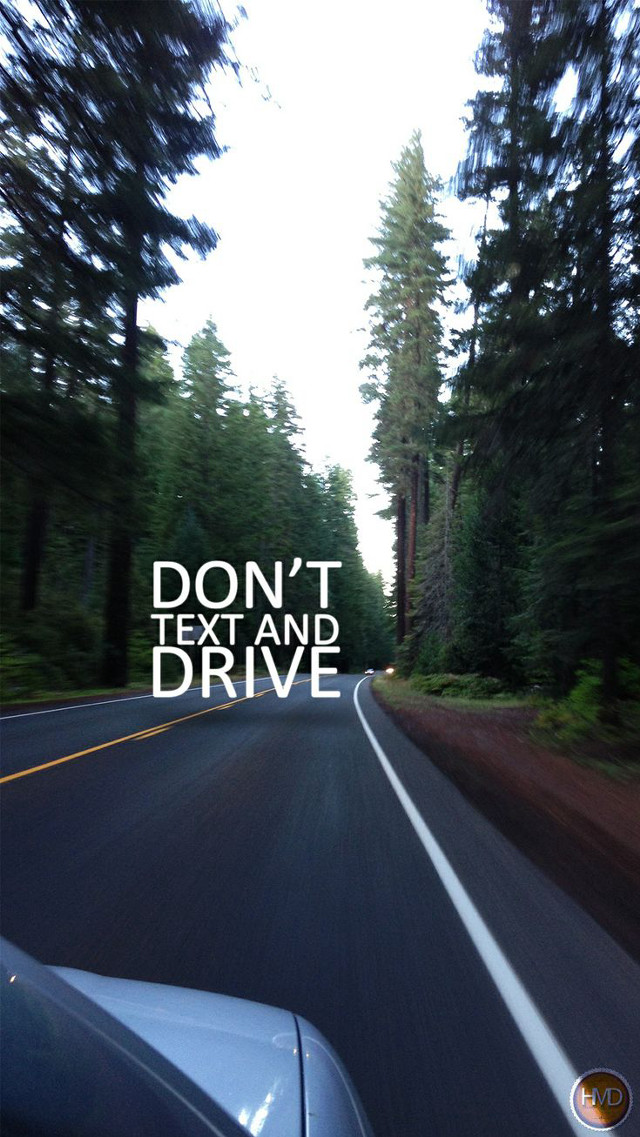 Car driving road forest trees free wallpaper - medium preview image