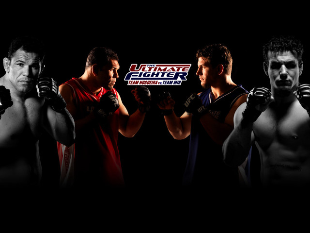Men boxing gloves group standing free wallpaper - medium preview image