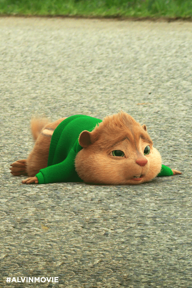 Cat laying green shirt wide free wallpaper - medium preview image