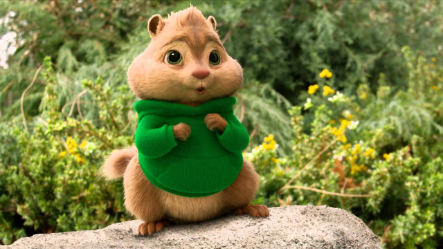 Stuffed squirrel green sweater rock free wallpaper - medium preview image