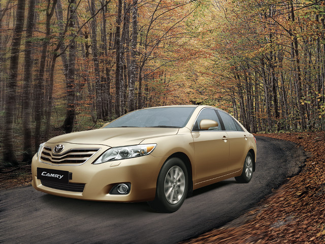 Gold toyota car driving woods free wallpaper - medium preview image