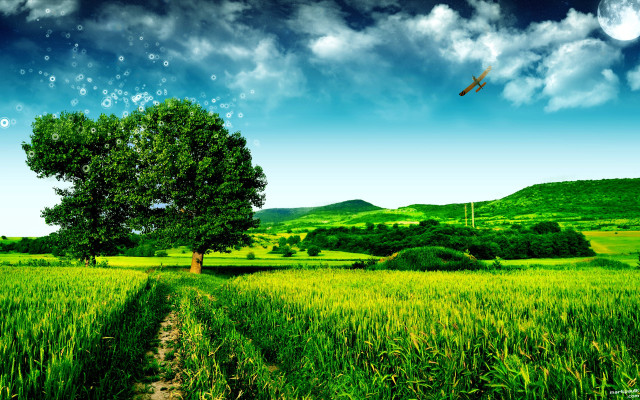 Field tree bird flying full free wallpaper - medium preview image