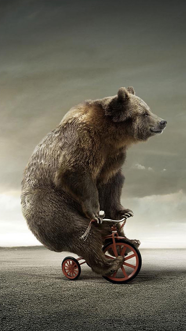 Bear riding tricycle cloudy sky free wallpaper - medium preview image