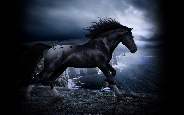 Horse ocean cliff gothic matte free wallpaper - medium preview image