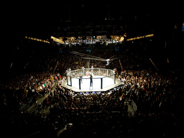 Crowd watching wrestling match stadium free wallpaper - medium preview image