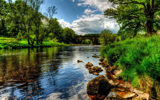 River bridge green grass trees free wallpaper - medium preview image