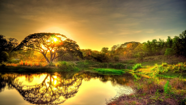 Sunset lake trees grass foreground #2 free wallpaper - medium preview image