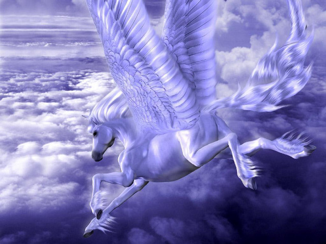 White horse wings flying sky free wallpaper - medium preview image