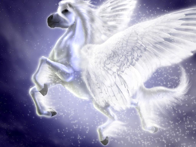 White horse flying wings stars free wallpaper - medium preview image