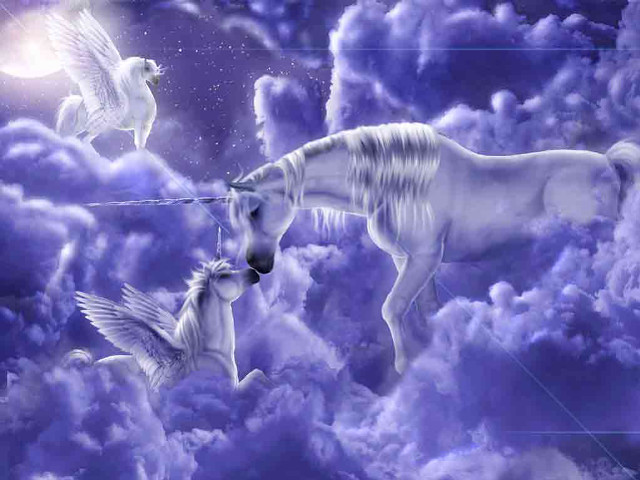 White horse two birds sky free wallpaper - medium preview image