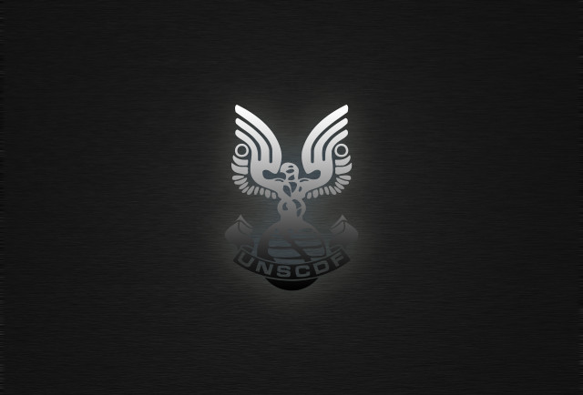 Black background white eagle image free wallpaper - medium preview image