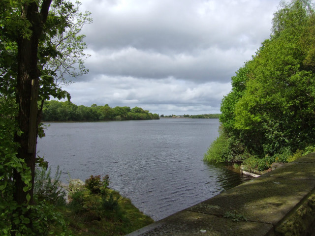 Water trees bridge cloudy sky free wallpaper - medium preview image