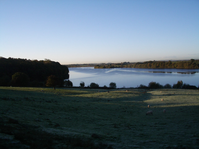 Lake forest field sheep sky free wallpaper - medium preview image