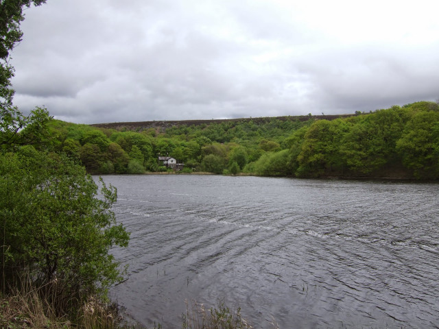 Boat river trees cloudy day free wallpaper - medium preview image