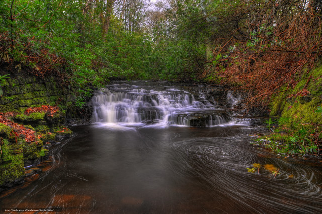 Small waterfall forest stream lush free wallpaper - medium preview image