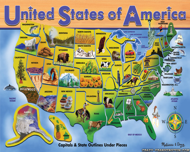 Usa map animals icons illustration free wallpaper - medium preview image