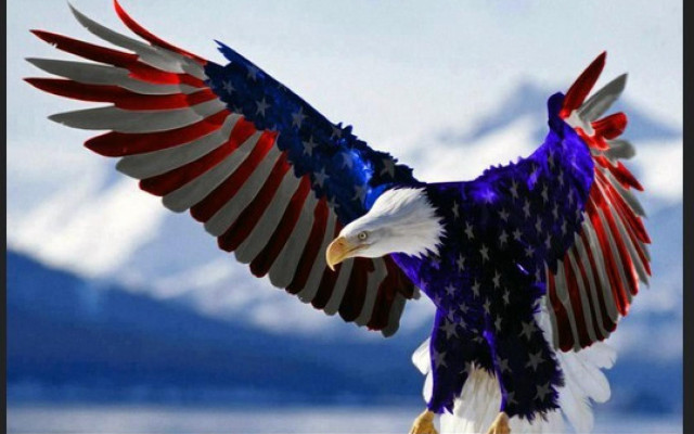 Bald eagle patriotic flag wings free wallpaper - medium preview image