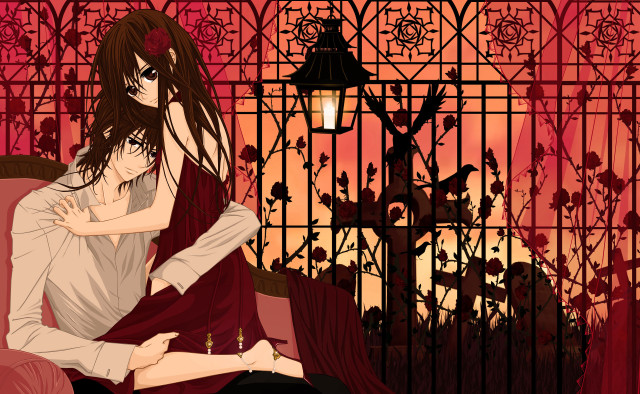 Woman chair cage bird candle free wallpaper - medium preview image