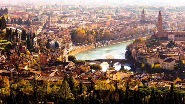 City bridge river buildings trees free wallpaper - medium preview image