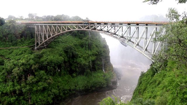 Train crossing bridge river forest free wallpaper - medium preview image