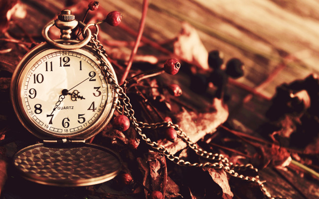 Pocket watch chain wood berries free wallpaper - medium preview image